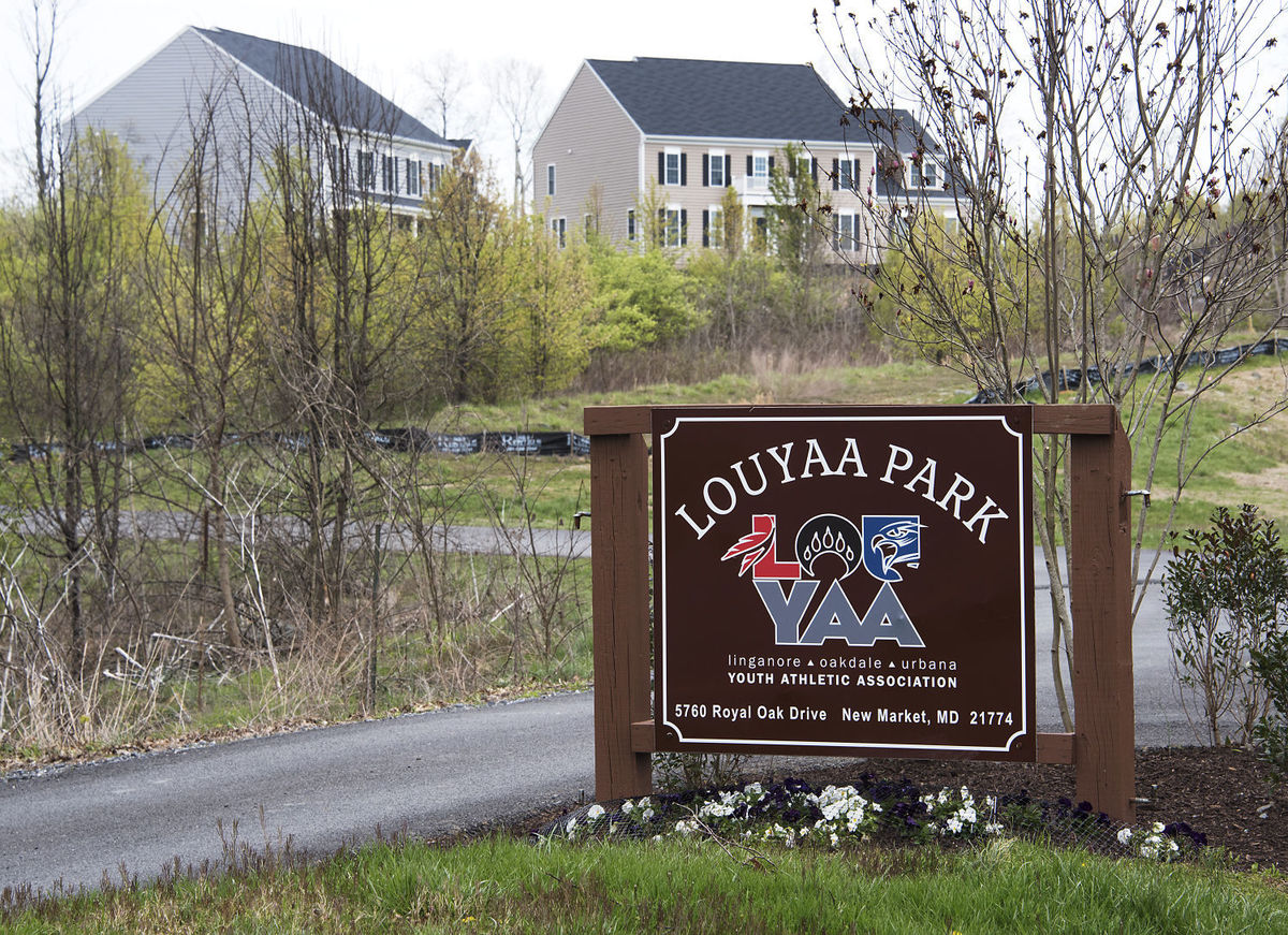 louayaa park louayaa park