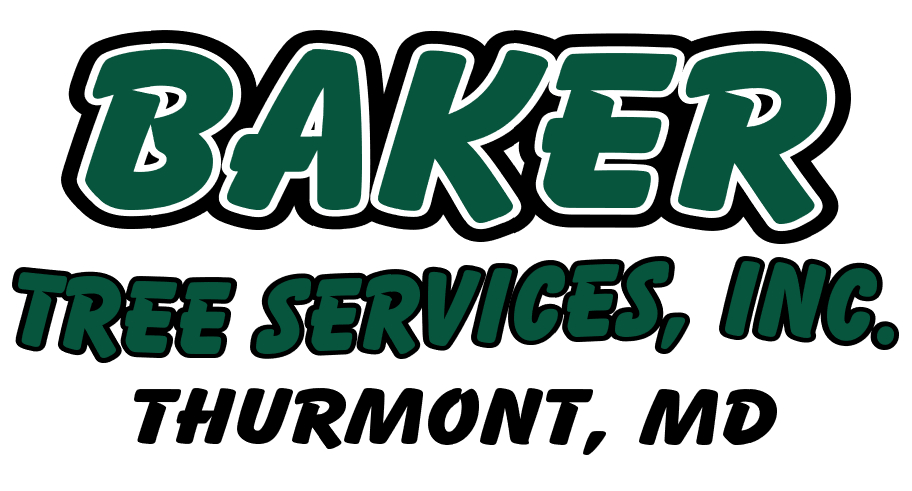 Providing Excellence in Tree Care in Frederick and Surrounding Counties